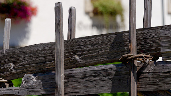 Bild zum Thema: Der Ring Zaun