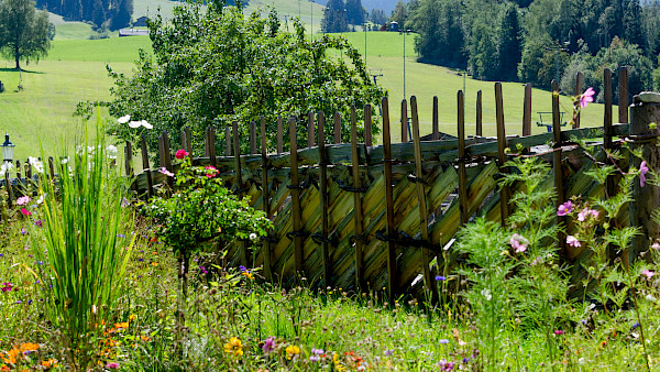 Bild zum Thema: Der Ring Zaun